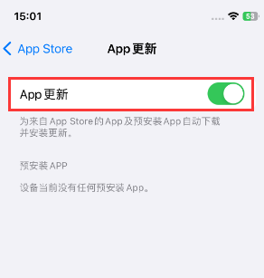 临江苹果15维修中心如何让iPhone15APP自动更新