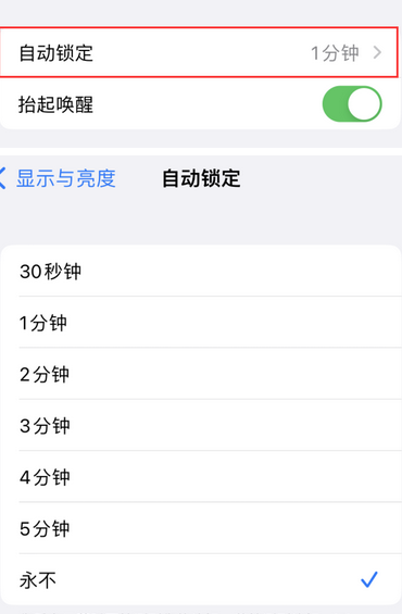 临江苹果换屏维修分享无法调整iPhone自动锁屏的时间怎么办