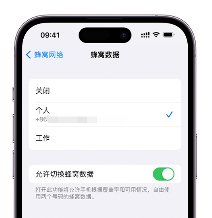 临江苹果维修服务分享如何在iPhone上使用双卡 